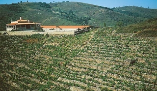 nuestras tierras